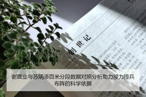 谢震业与苏炳添百米分段数据对照分析助力接力排兵布阵的科学依据
