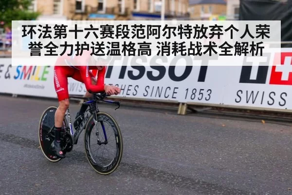 环法第十六赛段范阿尔特放弃个人荣誉全力护送温格高 消耗战术全解析 - ag