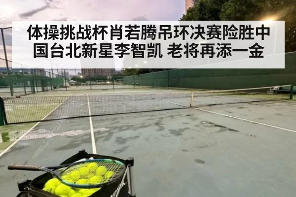 体操挑战杯肖若腾吊环决赛险胜中国台北新星李智凯 老将再添一金 - ag